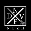 Логотип телеграм канала @nfdvnozh — NFDVNOZH