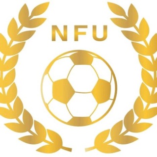 Логотип телеграм канала @nfu_original — NFU.ORIGINAL