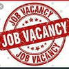 የቴሌግራም ቻናል አርማ ngoethiojob — JOB VACANCY ETHIOPIA 🇪🇹