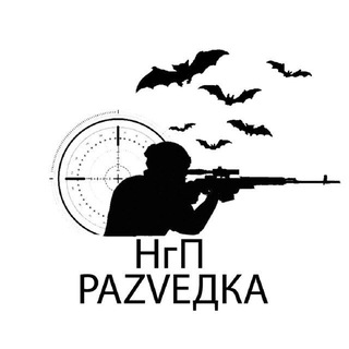 Логотип телеграм канала @ngp_razvedka — НгП раZVедка