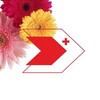 Логотип телеграм канала @ngp_nv — Взрослая поликлиника Нв