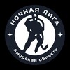 Логотип телеграм канала @nhliga_amur — Ночная хоккейная лига | Амурская область