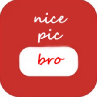 Логотип телеграм канала @nicepicbro — nice pic, bro