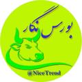 لوگوی کانال تلگرام nicetrend — بورس نگار
