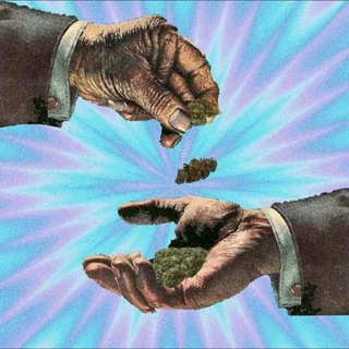 Logo de la chaîne télégraphique nicksamerlaputries - L'Neew`Verssìion