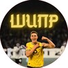 Логотип телеграм канала @nicoschlotti — Шлотти и Пчелиный Рой | ШиПР