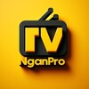 Logo of telegram channel niganpro — niganpro