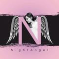 Логотип телеграм канала @nightangell11 — night angel(فرشته شب)