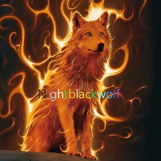 Логотип телеграм канала @nightblackwolf — Nightblackwolf channel
