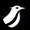 Telegram арнасының логотипі nightingale_int — Nightingale Int.