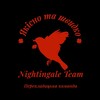 Логотип телеграм -каналу nightingaleteamua — Nightingale Team