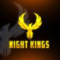 Logo saluran telegram nightkingn1 — NIGHT KINGS