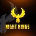 Логотип телеграм канала @nightkingn1 — NIGHT KINGS
