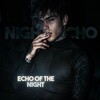Логотип телеграм канала @nightsecho — 𝙴𝚌𝚑𝚘 𝚘𝚏 𝚝𝚑𝚎 𝚗𝚒𝚐𝚑𝚝
