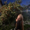 Логотип телеграм канала @nikasiga — ника сига