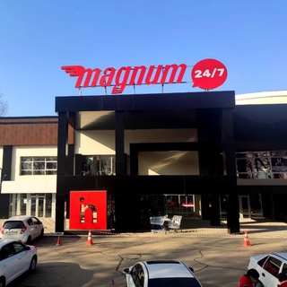 Логотип телеграм канала @nikasportvintegro — NIKA SPORT Integro