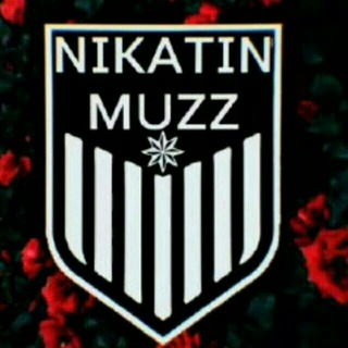 Telegram channel n1kat1n muz logo