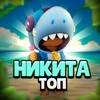 Логотип телеграм канала @nikitatop55 — Никита топ