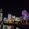 Логотип телеграм канала @nikkanlovers — Nikkanlover in Japan