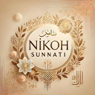 Telegram channel NIKOH logo