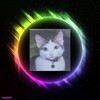 Логотип телеграм канала @nikolai_crypta — Логово BORIK