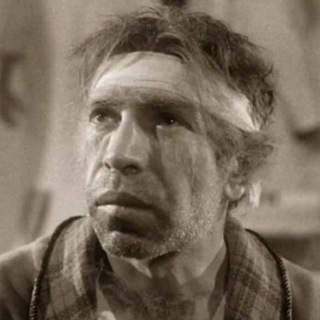 Логотип телеграм канала @nikolasnews — Штурм мозга