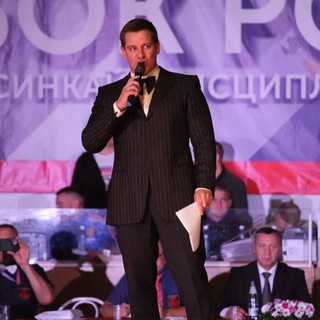 Логотип телеграм канала @nikolaylukinskiy — Николай ЛУКИНСКИЙ
