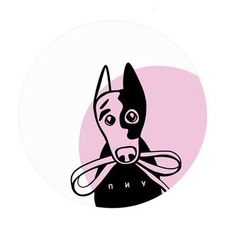 Логотип телеграм канала @nikoldogs — Nikoldogs