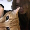 Логотип телеграм канала @nikssssaffff — никич йоу
