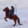 Логотип телеграм канала @nima838 — Икигай Оронгой
