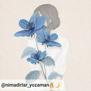 Telegram kanalining logotibi nimadirlar_yozaman — Qalbdan 📝🖇