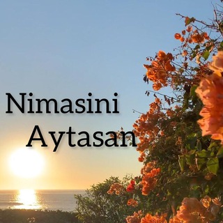 Telegram channel Nimasini aytasan | Shaxsiy Blog logo