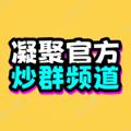 Logo saluran telegram ningju02 — 凝聚炒群（拉手界担保）
