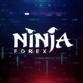 Logo saluran telegram ninjaforexks — Ninja Forex