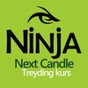 Telegram channel NINJA TRADING NC logo