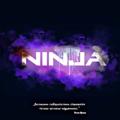 Логотип телеграм канала @ninjapubg134 — NiNJA pubgm