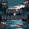 Telegram kanalining logotibi ninjawarriorent — Ninja Warrior: Recruitment male talent and female talent