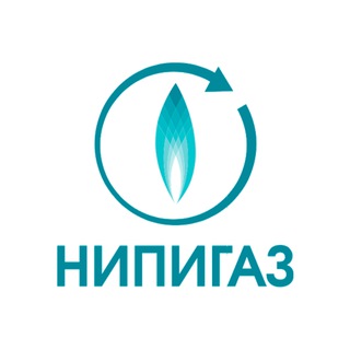 Логотип телеграм канала @nipigasinfo — НИПИГАЗ