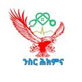 Logo de la chaîne télégraphique nisirhikimna - ንስር ሕክምና