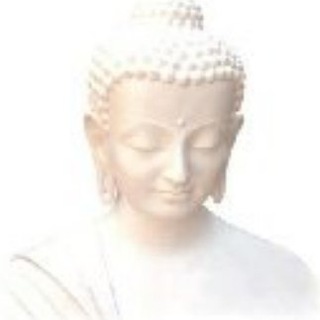 Logo des Telegrammkanals nixgut - islamnixgut