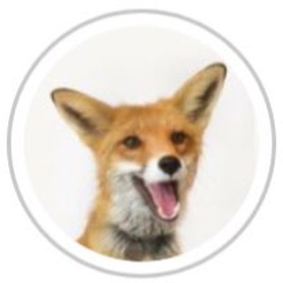 Логотип телеграм -каналу nixiefox — Nixie_fox