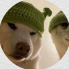 Логотип телеграм канала @nixpodbelskiyy — Пристанище Никса