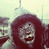 Telegram арнасының логотипі niyyyyaz — нияз шлемоносец