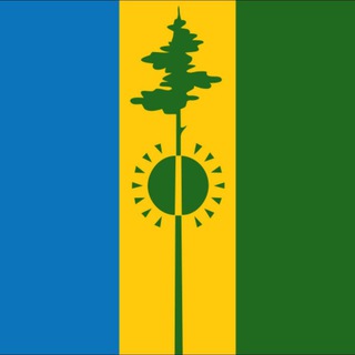 Логотип телеграм канала @nizhnekamsk_loc — НИЖНЕКАМСК