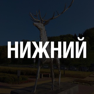 Логотип телеграм канала @nizhniy_novgorod_vesti — Типичный Нижний Новгород