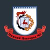 Логотип телеграм канала @nizhniy_novgorod_1 — Нижний Новгород №1
