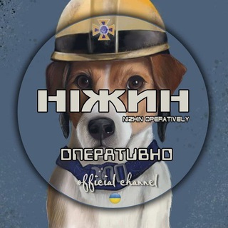 Логотип телеграм -каналу nizhyn_operatively — Ніжин Оперативно