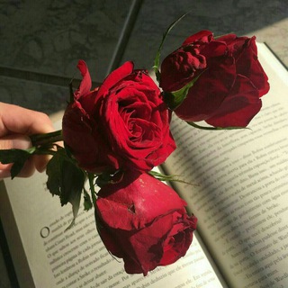 لوگوی کانال تلگرام njjood — آحــتواء 💙