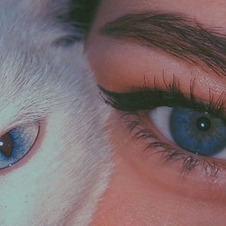 Логотип телеграм канала @njma2 — نٍجہمْه ﹾ٭