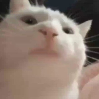 Логотип телеграм канала @njvfi_music — Njvfi's music